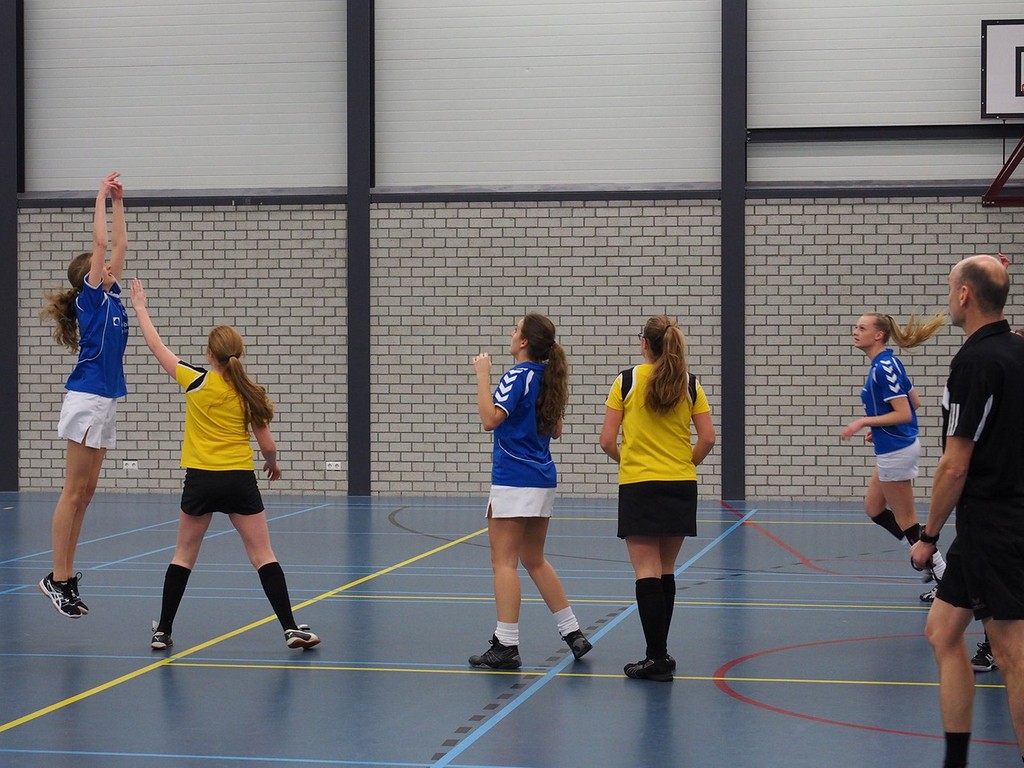 Korfbal A3_9 januari-016.jpg